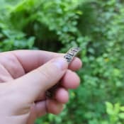 Norse Runes bracelet viking arm oath ring nordic jewelry – Viking jewelry | Norse runes & Nordic jewelry